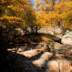 ROCK CREEK PARK